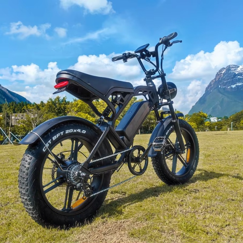 YTYIN 2024 Made in China Fabri - Folding Electric Scooter recensie en prijs