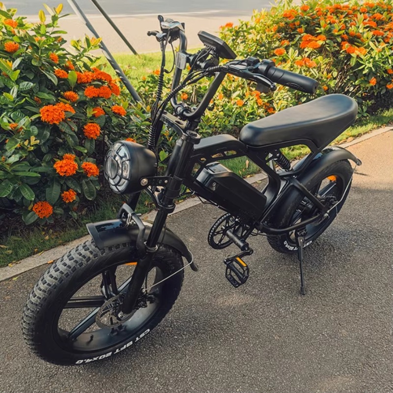 YTYIN 2024 Made in China Fabri - Folding Electric Scooter recensie en prijs