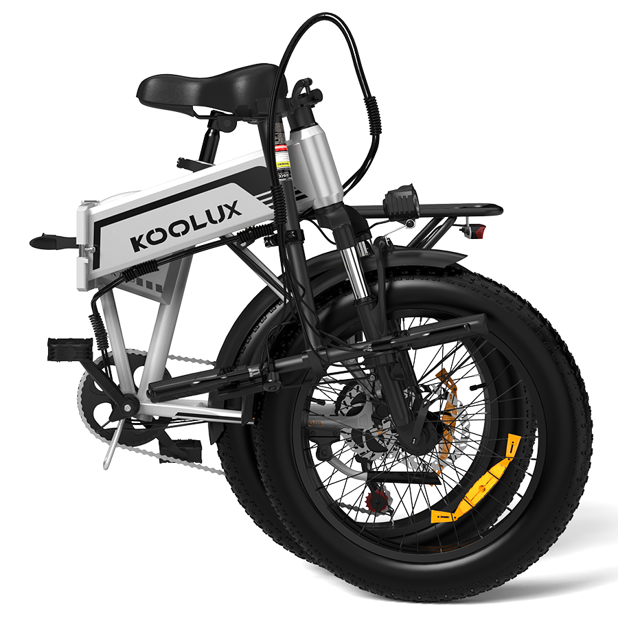 EU Warehouse 15Ah Elektrische  - Electric Scooter Adults recensie en prijs