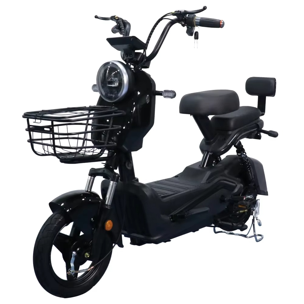 Betrouwbare elektrische fiets  - Electric Scooter 500W recensie en prijs