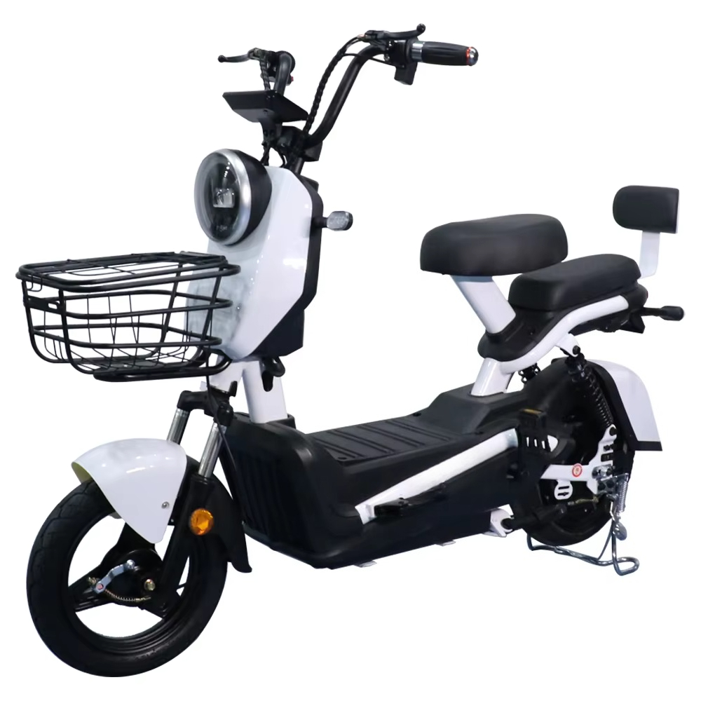 Betrouwbare elektrische fiets  - Electric Scooter 500W recensie en prijs
