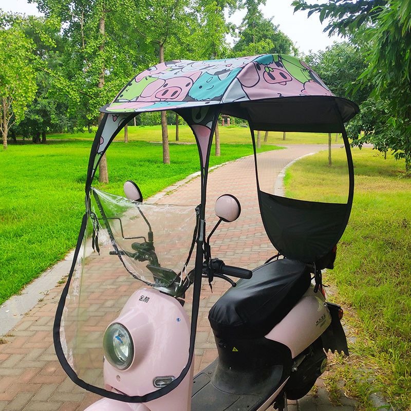 Nieuwe elektrische scooter reg - Electric Scooter Rain Cover recensie en prijs