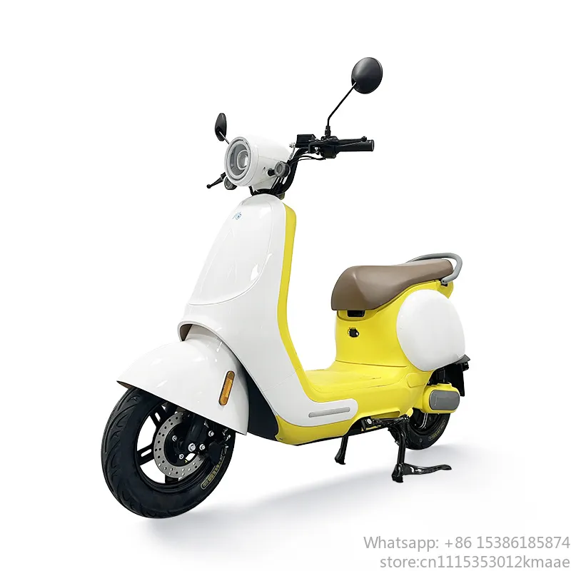 1200W 2-wieler duurzame elektr - Electric Scooter Adults recensie en prijs