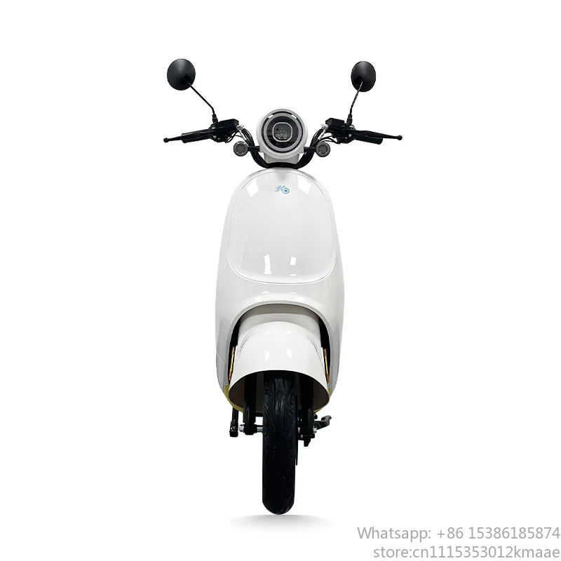 1200W 2-wieler duurzame elektr - Electric Scooter Adults recensie en prijs